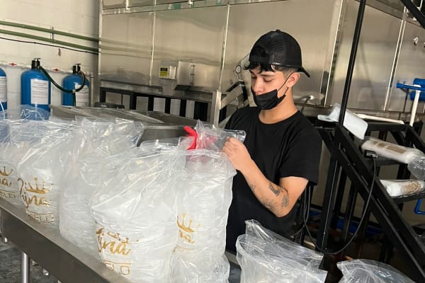 La Reina Del Hielo