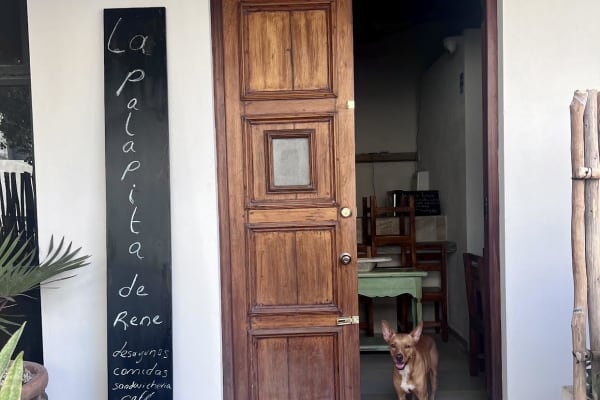 La palapita de Rene