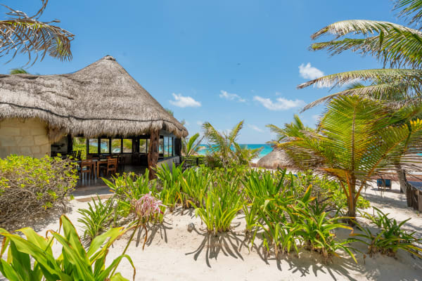 Sol Caribe