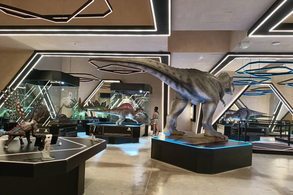 Museo del Meteorito