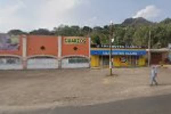 Minisuper Alamo