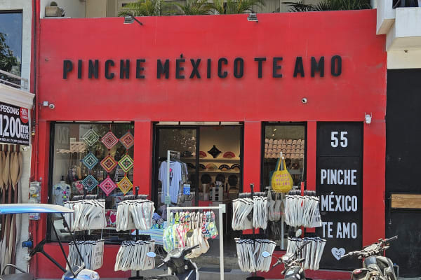 Pinche México Te Amo