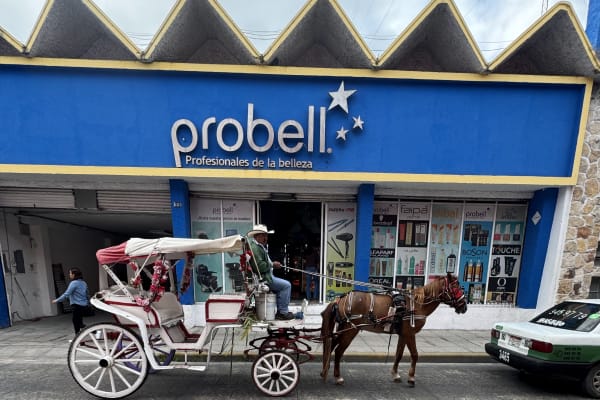 PROBELL Beauty Professionals