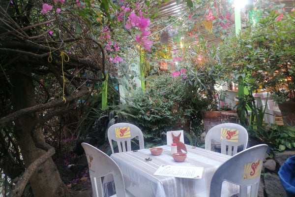 Pozoleria Flores / Salud Mezcal