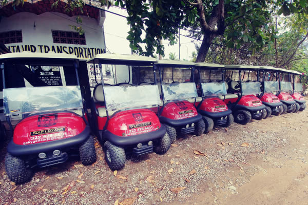 Sayulita VIP Transportation & Gaby Golf Carts
