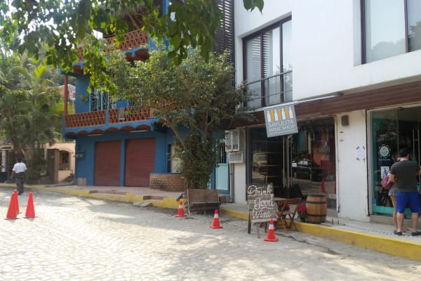 SAYULITA WINES & Co.
