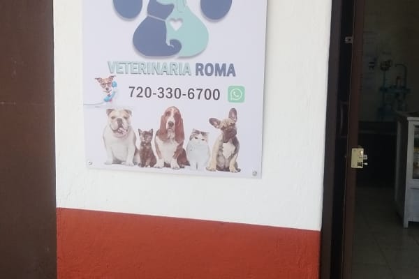 Veterinaria ROMA