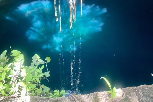 Yucatán Dive Center