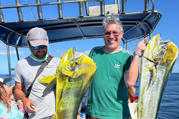 Let's go fishing sayulita
