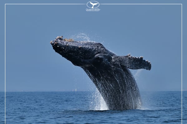 Ocean Friendly Tours