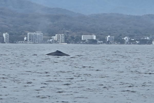 Akali Expeditions Tours