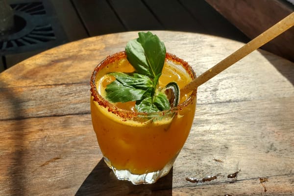 Bar El Patron