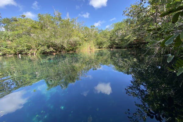 Cenote Aktun Ha o Car Wash