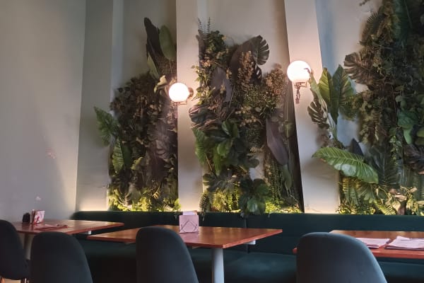 Vegan Barrio