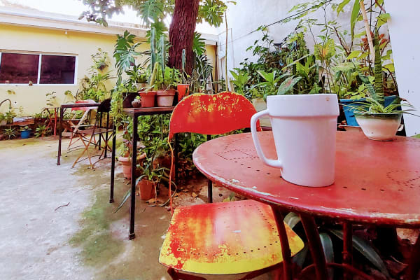 Orgánico Bar de Café & Cocina