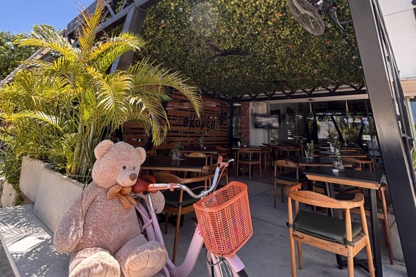Viva La Brunch ❤️ 🧸