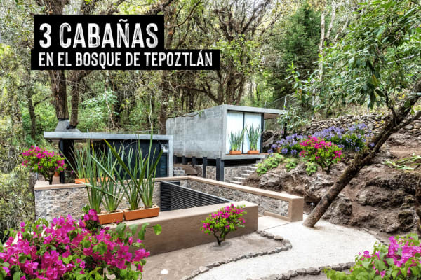 Fungi Tepoz Cabins