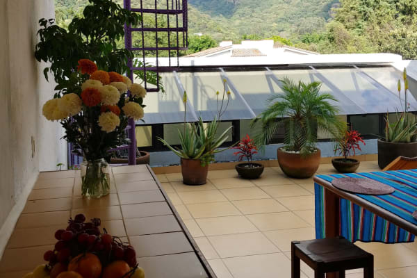 El Amate - Clases Talleres Eventos