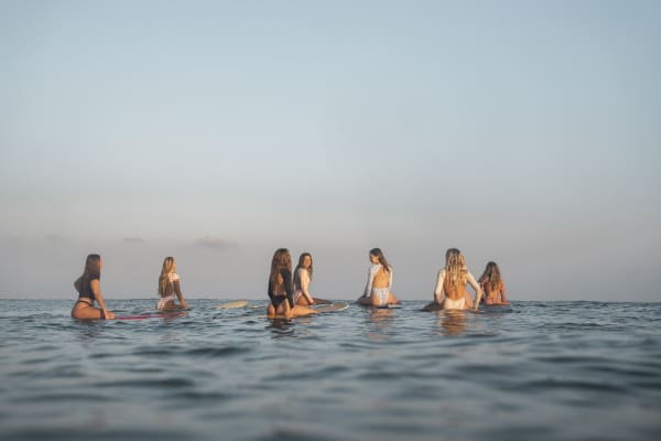 Dream Life Trips