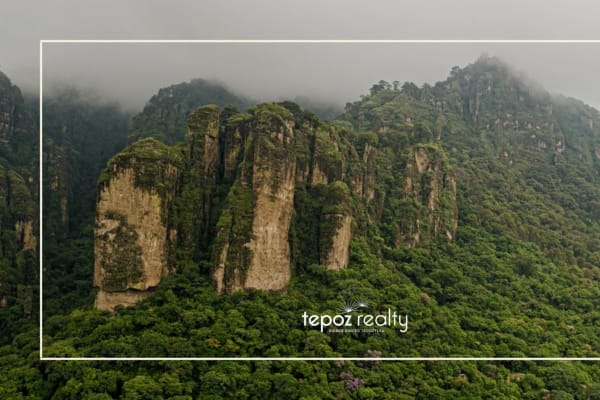 Tepoz Realty (Bienes raíces en Tepoztlán, Morelos)
