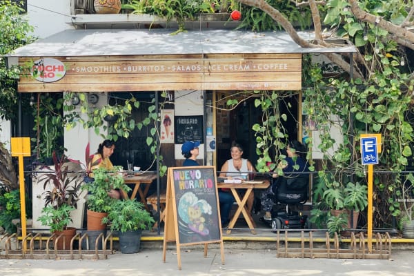 Michi cat Café