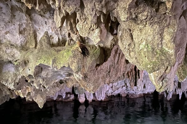 Tours, Scooters, ATVs, yacht - Maya 1 Travel