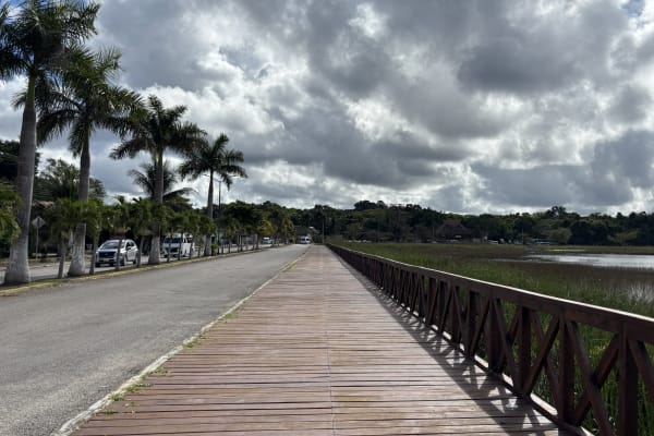 Visita Coba