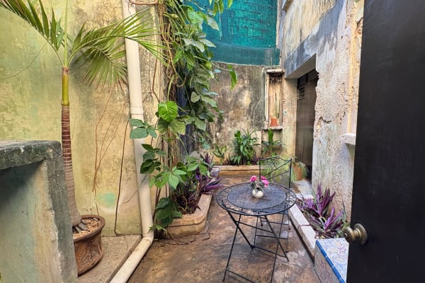 Hostal Merida hostel y tours