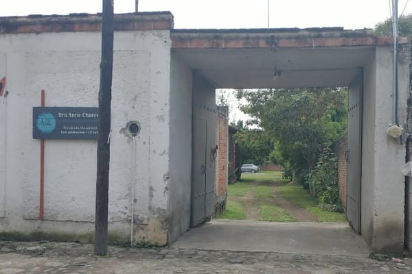 NIDO: Acupuntura & Herbolaria