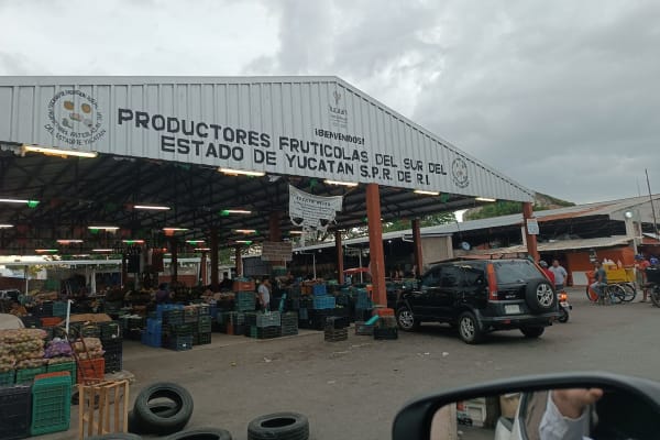 Victor Cervera Pacheco TIangus