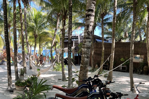 Freewheel Tulum - bikes & boards