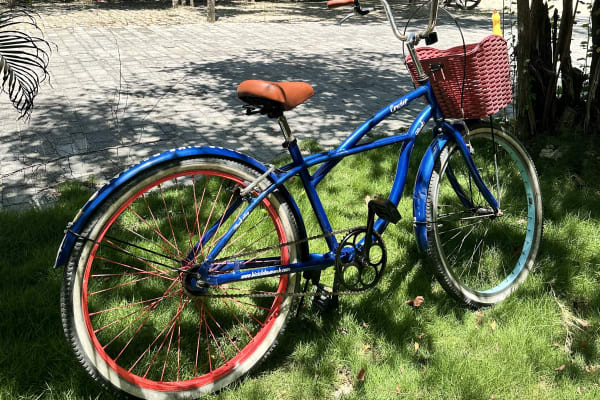 Lobas Bike Tulum