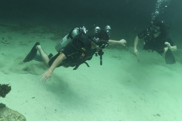 DIVETULUM