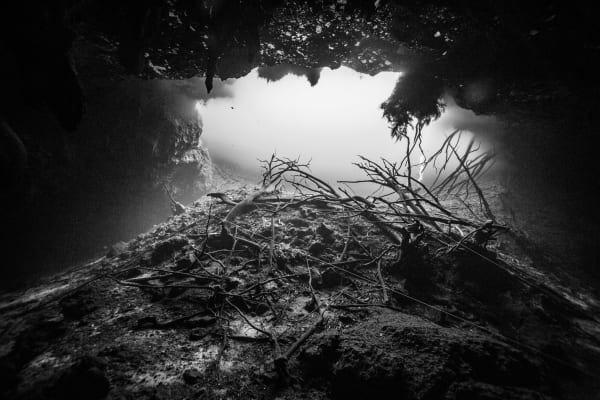 Scuba Diving in Tulum