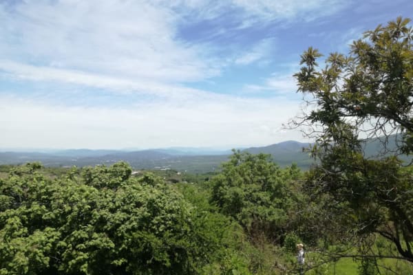 Venta Terrenos Y Propiedades Tepoztlan