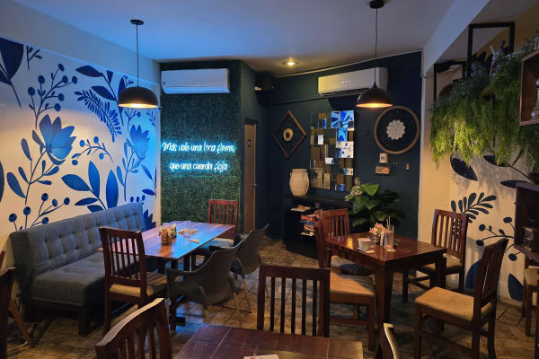 Cafecito Necesito - Cafetería, Panadería, Restaurante