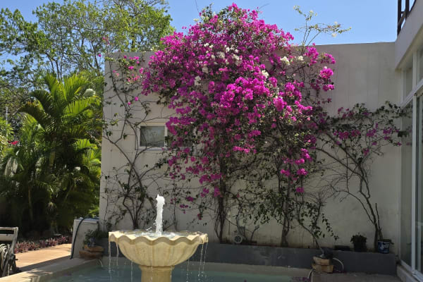 Casa Xcanatun