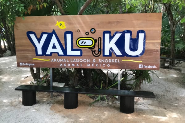 YAL-KU CENOTE Y Laguna Yalku