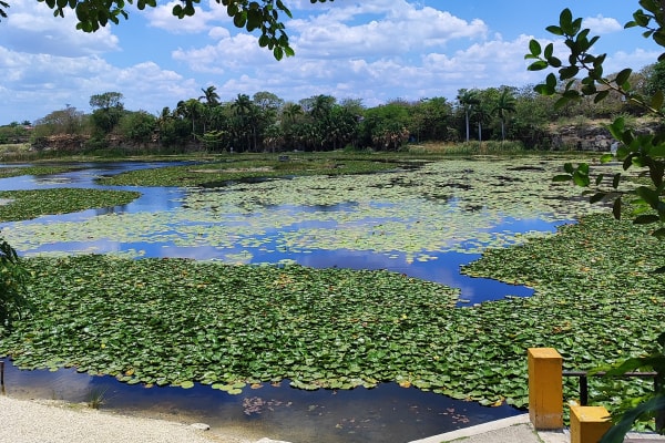 ACUAPARQUE