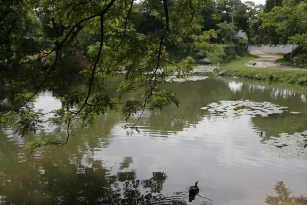 Lago Del Poniente