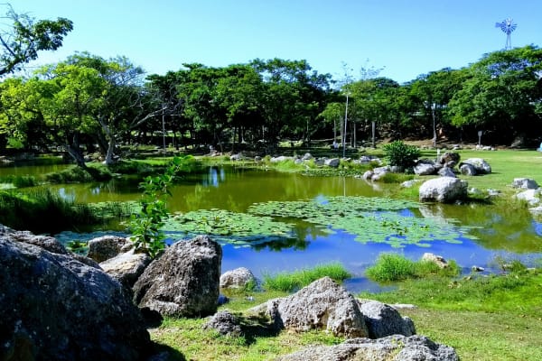 Poniente Ecological Park