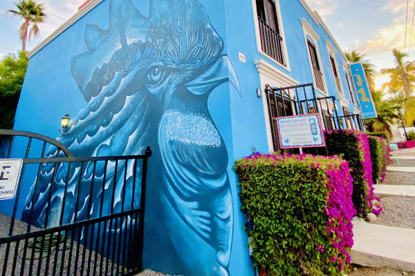 Hotel Gallo Azul