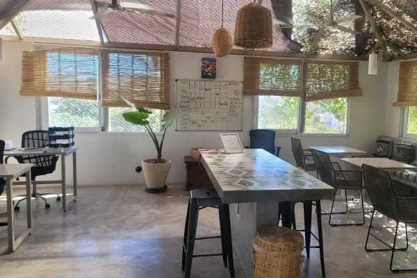 Co Working Perro Surfero Todos Santos