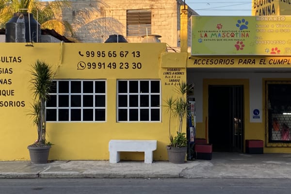 LA MASCOTINA VETERINARIA Y BOUTIQUE CANINA