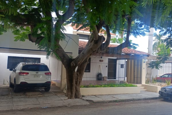 Vive SEGUROS