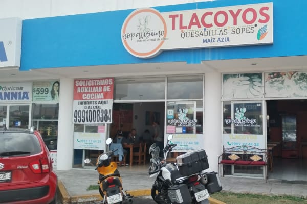 Nopalísimo Fco. de Montejo