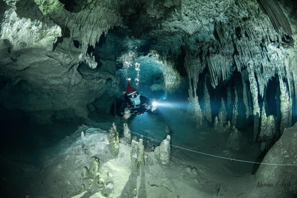 Hidden Worlds Diving- Marissa Eckert