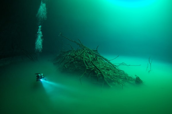 La Calypso Dive Center - Cenote diving
