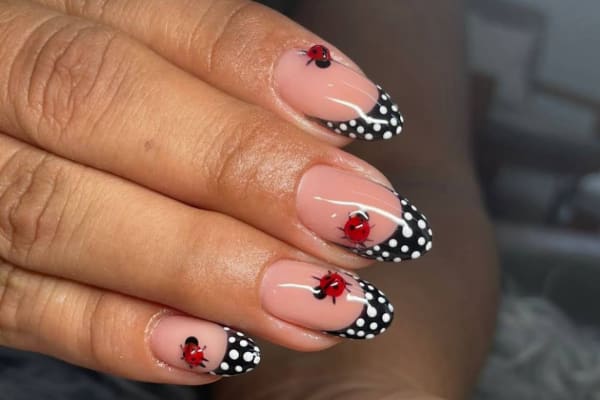 Ha Nails | Manicure, Pedicure & Uñas Acrílicas en Centro, Mérida | Salón de Pestañas