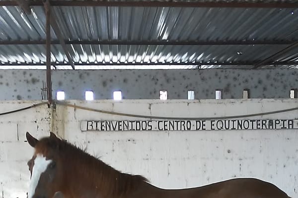 Centro de Equinoterapia DIF Tulum